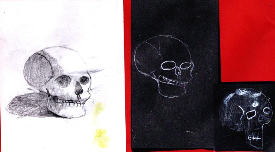 Croquis  crâne (pastels gras et crayon) - Blog artistique de